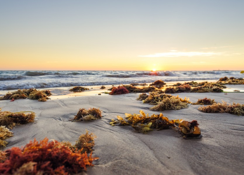 Atardecer en la playa de La Victoria