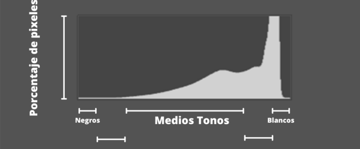 El Histograma